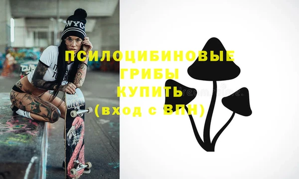 мяу мяу мука Горно-Алтайск