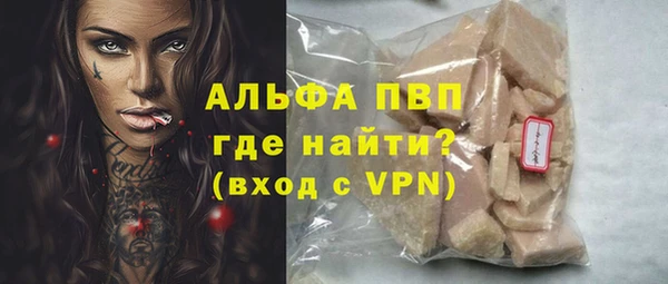 стафф Вяземский