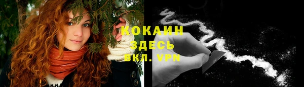 мяу мяу мука Горно-Алтайск