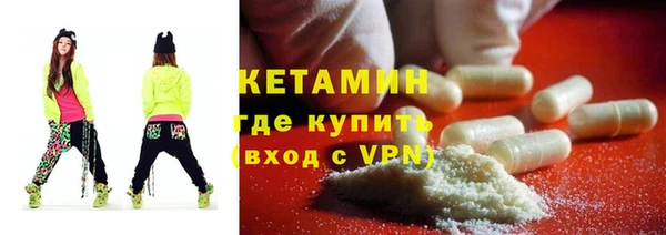 сатива Горняк