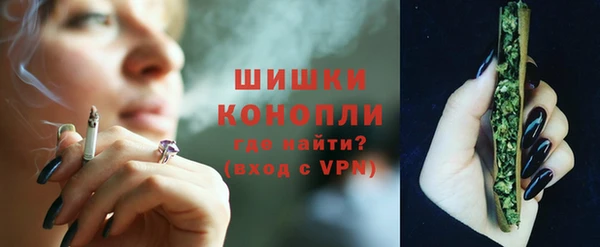 сатива Горняк