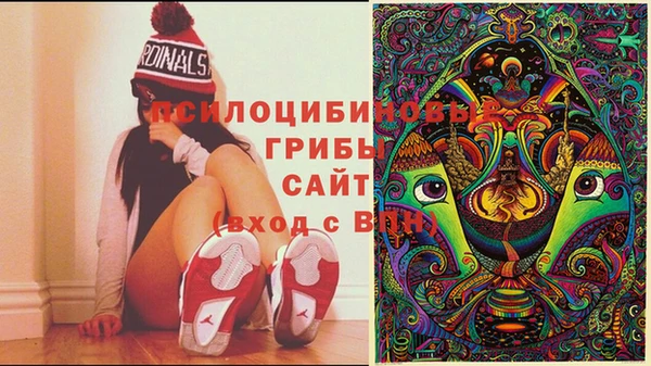 стафф Вяземский
