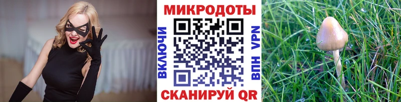 Псилоцибиновые грибы Psilocybe  нарко площадка Telegram  Железногорск-Илимский 
